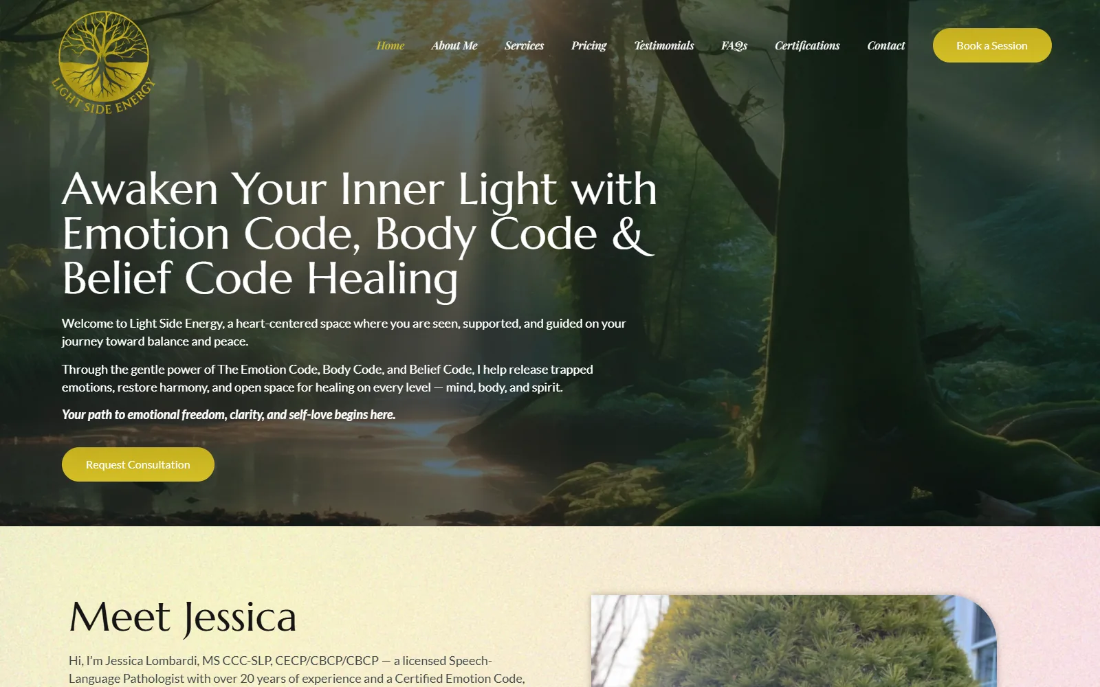 Light Side Energy website homepage