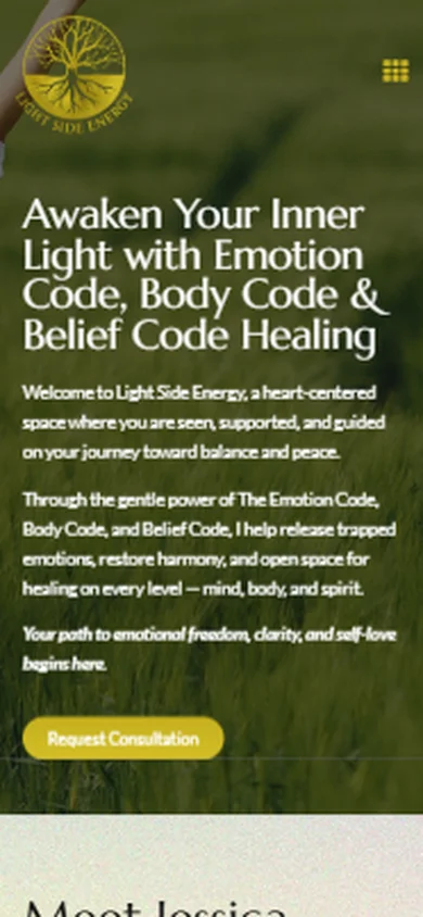The Light Side Energy website on a mobile phone