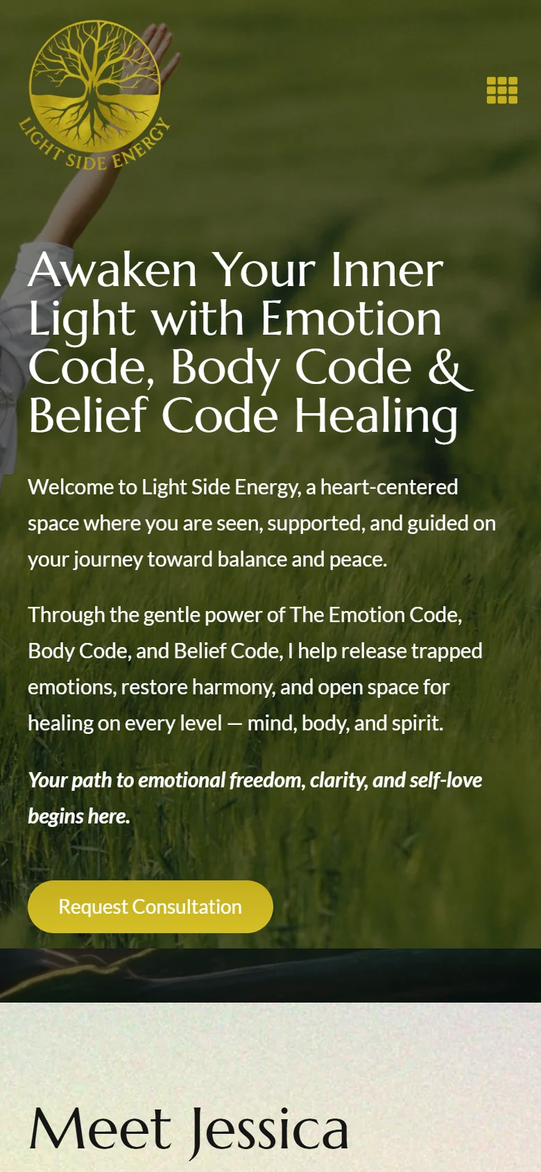 The Light Side Energy website on a mobile phone